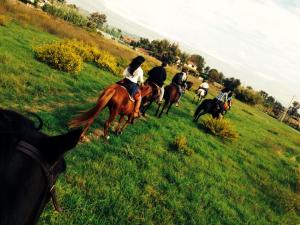 Passeggiata a cavallo - Campagna Cerenova